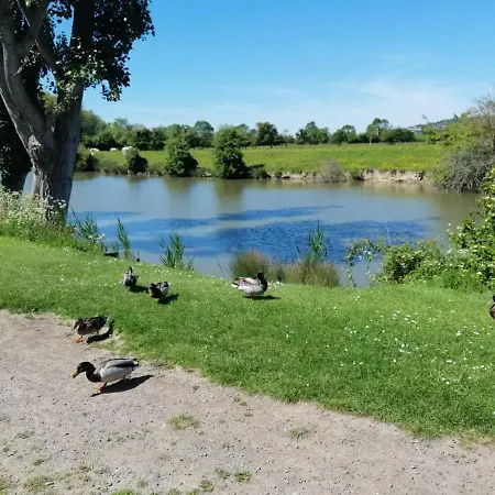 Magnifique Deux Pieces Au Calme Apartamento