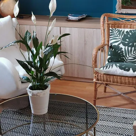 Magnifique Deux Pieces Au Calme