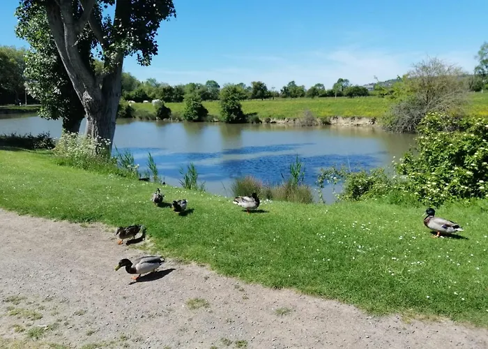 Magnifique Deux Pieces Au Calme Apartamento