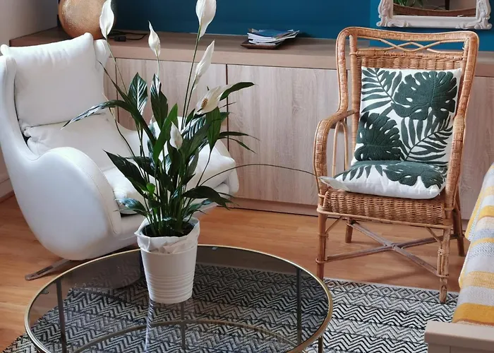 Magnifique Deux Pieces Au Calme